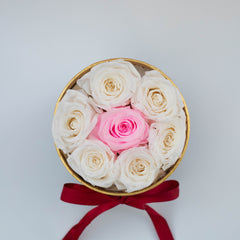 Circle Box - 7 Roses