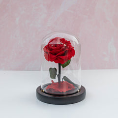 LED Rose