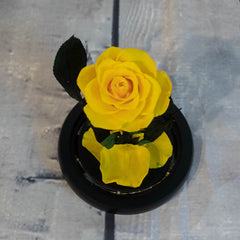 LED Rose