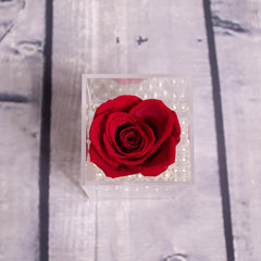 Drawer Rose