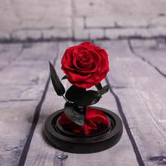 LED Rose