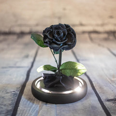 LED Rose