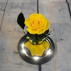 Medium LED Rose