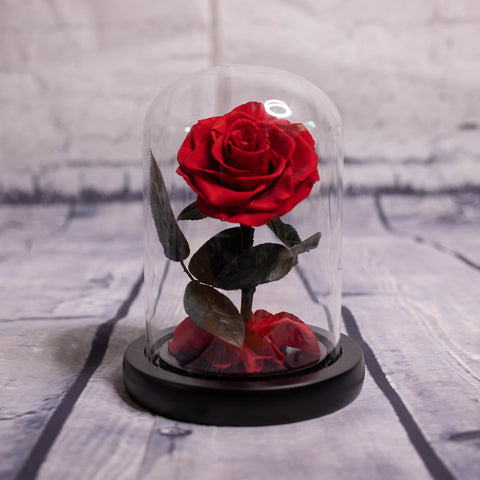 Long Stemmed SINGLE FOREVER ROSE – Mystica Rose