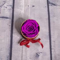 Circle Box Rose